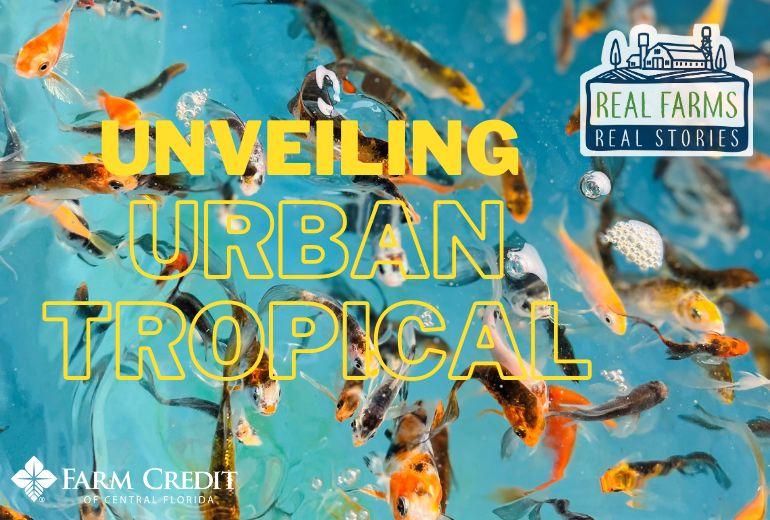 Urban tropical store fish farm